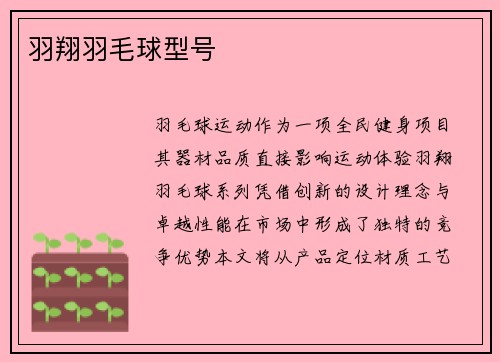 羽翔羽毛球型号